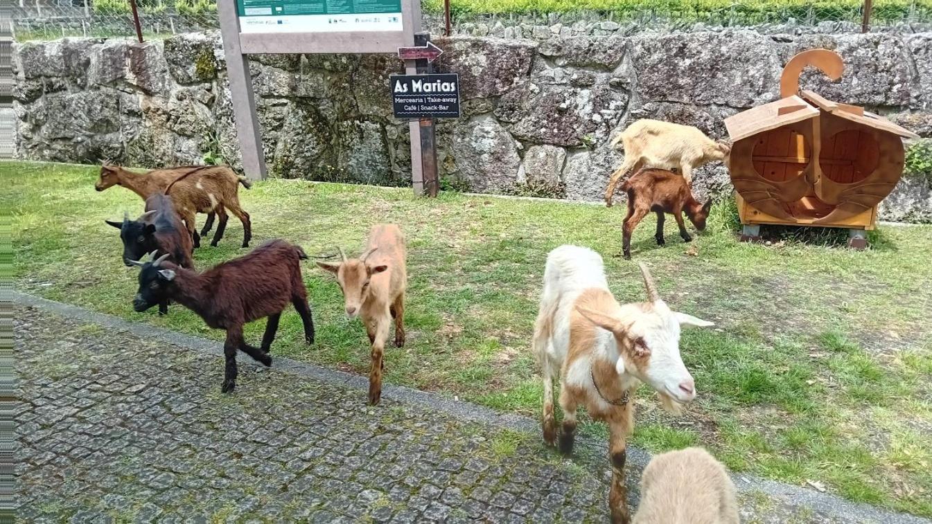 Chalet Do Soajo اركوس دي فالديفيز المظهر الخارجي الصورة